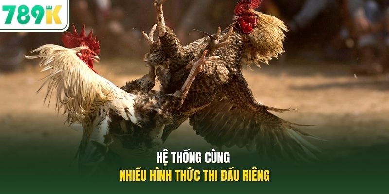 Hệ thống cùng nhiều hình thức thi đấu riêng